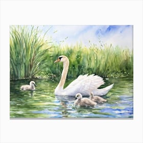 Swan Family 4 Canvas Print