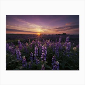 Sunset Over Lavender Field Canvas Print