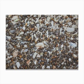 Tiny And Large Sea Shell And Rocks Texture Background 5 Canvas Print