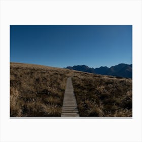 Hiking The Path To Nowhere In New Zealand Canvas Print