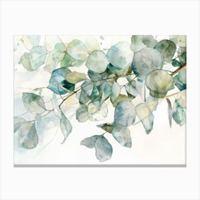 Eucalyptus 3 Canvas Print