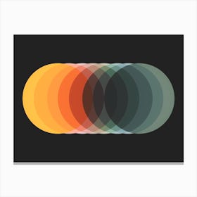 Graduated Colourful Circles On Dark Grey Canvas Print