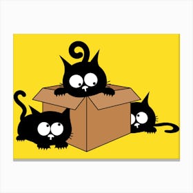 Black Cats In A Box Canvas Print