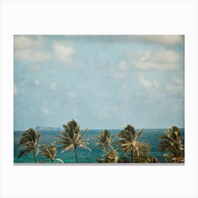 Palm Trees On The Beach Canvas Print