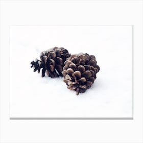 Two Pinecones Canvas Print