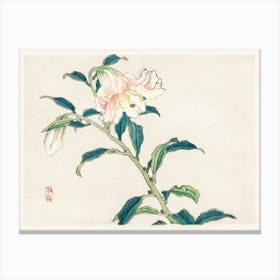 Lily, Kōno Bairei Canvas Print