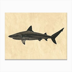 Angel Shark Silhouette 4 Canvas Print
