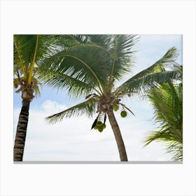 Palm Trees On The Beach Canvas Print