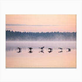 Canadian Geese 14 Canvas Print