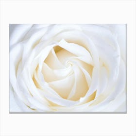 White Rose Canvas Print