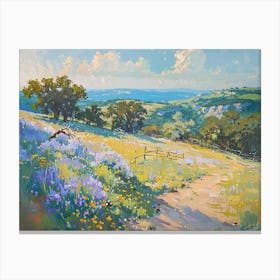 Western Landscapes Texas Hill Country 4 Canvas Print