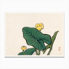 Water Lily, Kōno Bairei Canvas Print