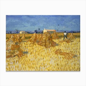Corn Harvest In Provence, Vincent Van Gogh Canvas Print