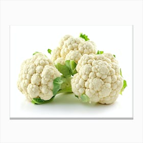 Cauliflower On White Background 4 Canvas Print