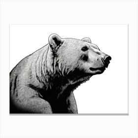 Black & White Polar Bear Portrait Canvas Print