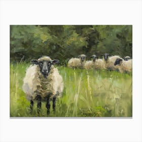 Sheep In The Meadow Canvas Print