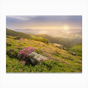 Pink And Yellow Wildflowers Canvas Print