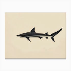 Thresher Shark Silhouette 4 Canvas Print