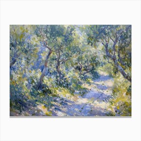 Olive Trees Canvas Print