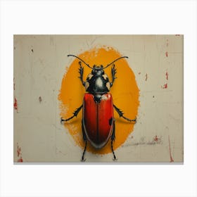 Beetle 1 Canvas Print