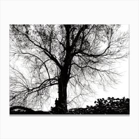 Silhouette Of Bare Tree Black And White 5 Canvas Print