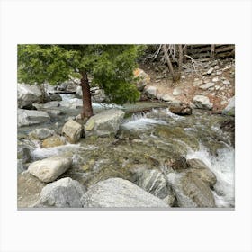 Stream In The Woods 3 Canvas Print