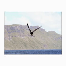 Osprey Over Ocean Canvas Print