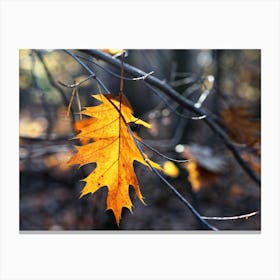 Leaf in autumn colors Canvas Print