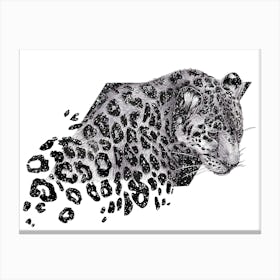 Cosmic Leopard Canvas Print