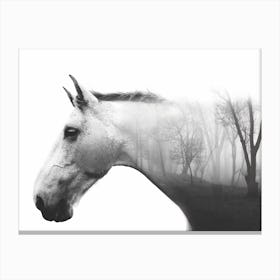 Forest Horse Canvas Print