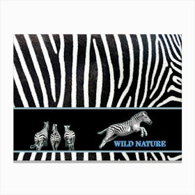 WILD NATURE - COOL ZEBRA design collection Canvas Print