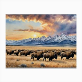 Wild Bison Herd Plains Canvas Print