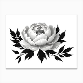 Peony Flower Canvas Print