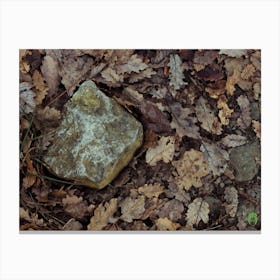 Rock In The Woods 20201231 26ppub Canvas Print