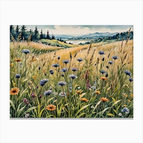 Field flowers Canvas Print