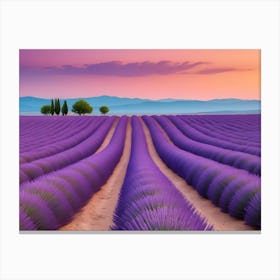 Lavender Field At Sunset Canvas Print