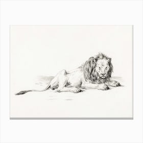 Lying Lion (1822), Jean Bernard Canvas Print