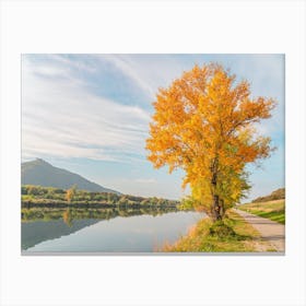 Fall Tree By The River Canvas Print