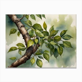 Watercolor Of A Tree Branch Canvas Print