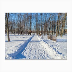 Winter Path In The Park Canvas Print