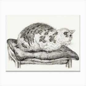 Lying Cat On A Pillow, Jean Bernard Canvas Print