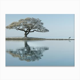 Lone Tree 17 Canvas Print