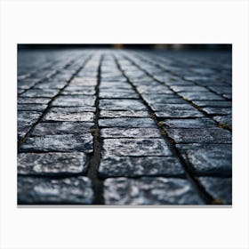 Cobblestone Road Canvas Print