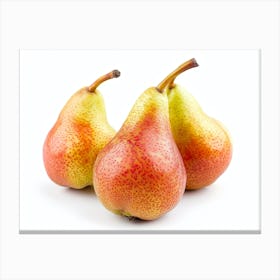 Three Pears On A White Background 1 Canvas Print