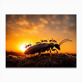 Ant Colony Cooperating Harmoniously Silhouetted Against A Radiant Sunset Amber And Crimson Hues Me (2) Canvas Print