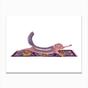 Squirrel Stretch Canvas Print