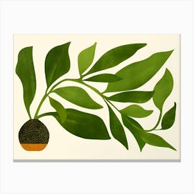 Guava Leaf Canvas Print