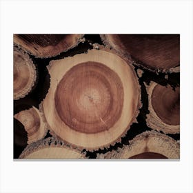 Log Cross Section Canvas Print