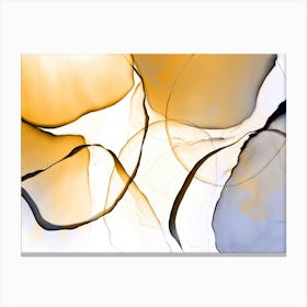 Elements Canvas Print