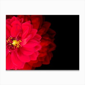 Red Dahlia Flower Canvas Print